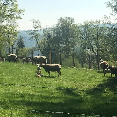 Frühstückspension Au Vieux Mouton