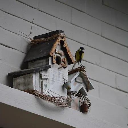 Au Vieux Mouton Frühstückspension Parfondruy
