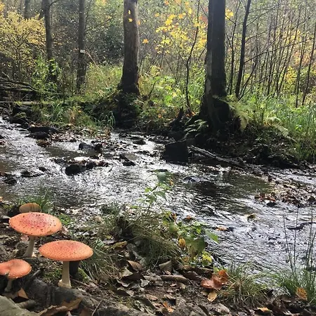 Frühstückspension Au Vieux Mouton Parfondruy