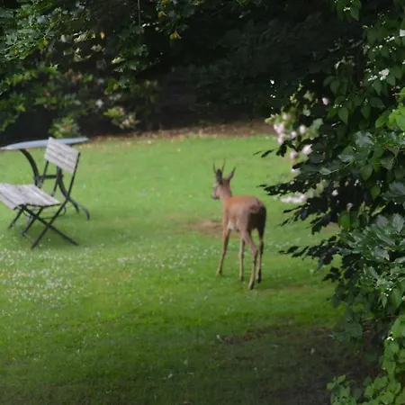 Au Vieux Mouton Frühstückspension